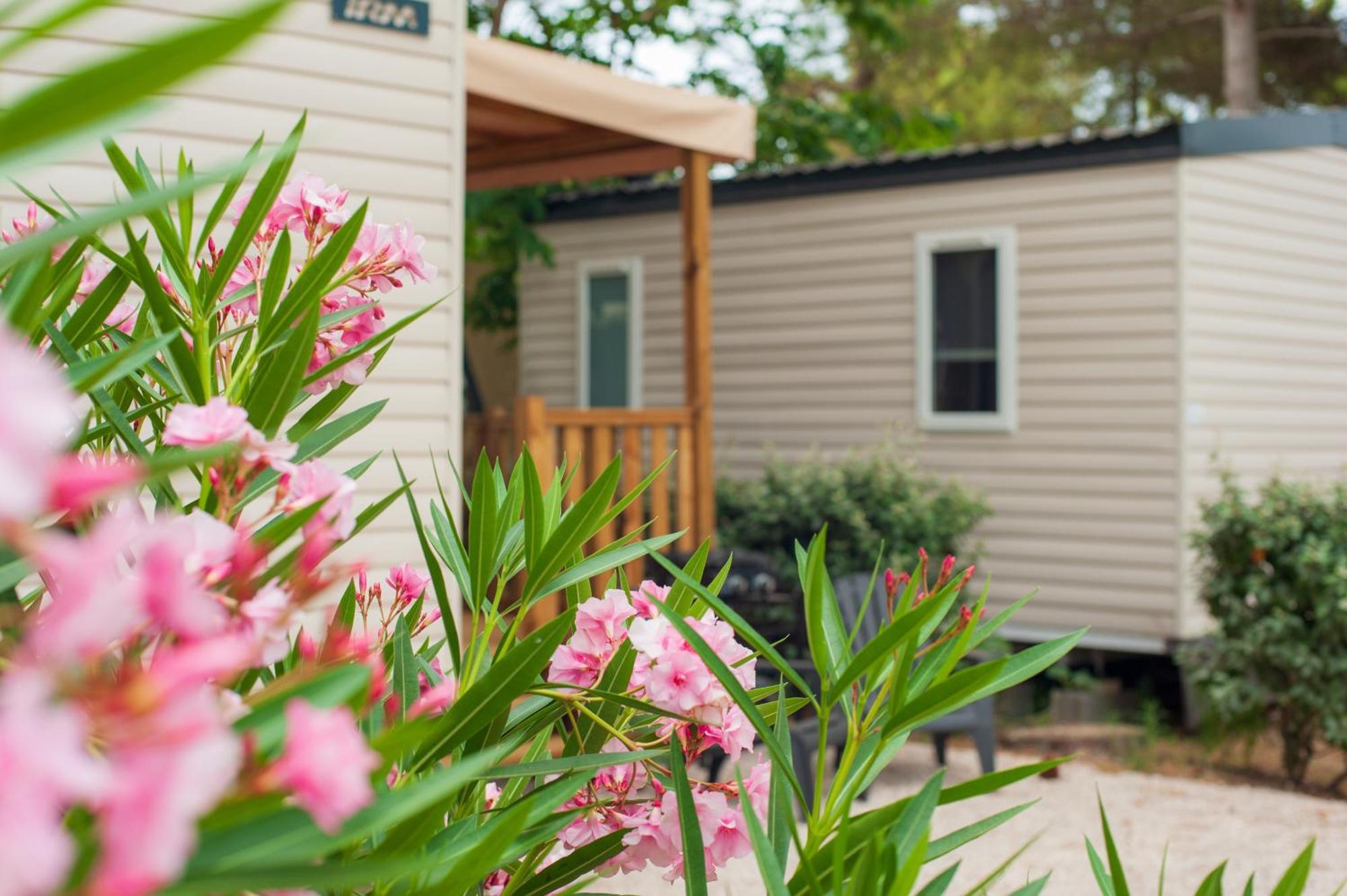 Camping Les Jardins D Agathe Le Grau-dʼAgde Екстериор снимка
