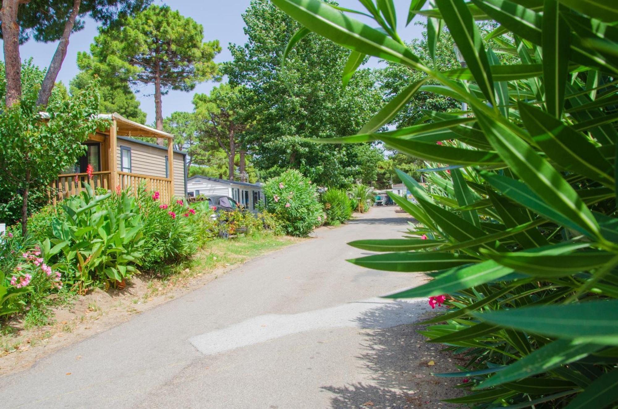 Camping Les Jardins D Agathe Le Grau-dʼAgde Екстериор снимка