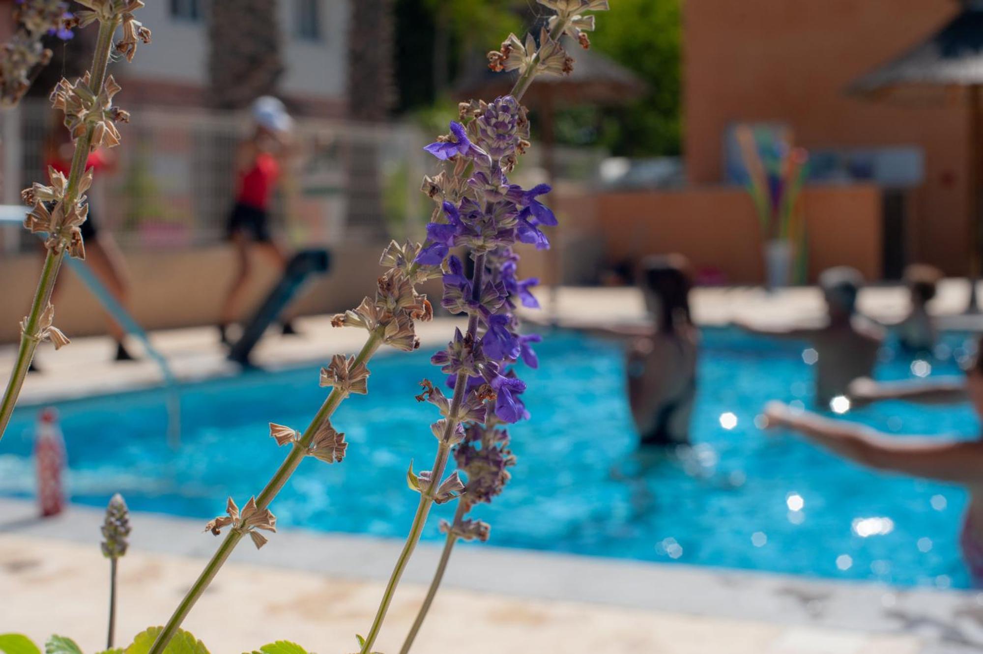Camping Les Jardins D Agathe Le Grau-dʼAgde Екстериор снимка