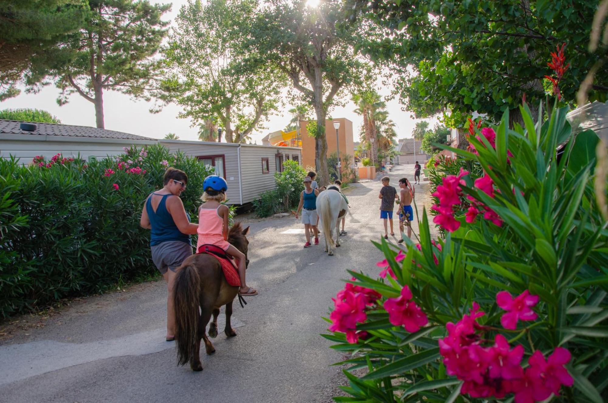 Camping Les Jardins D Agathe Le Grau-dʼAgde Екстериор снимка
